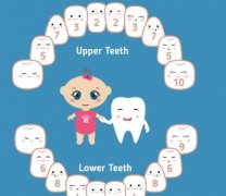 成都烤瓷牙冠多少钱一颗？可以保持多久？