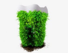 深圳种牙可以医保报销吗?目前还未纳入基本医保支付范围内