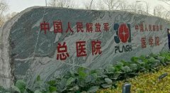 北京301口腔科专家介绍