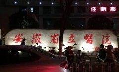 合肥省立医院口腔科磨牙垫价格多少？汇总医生和价格信息